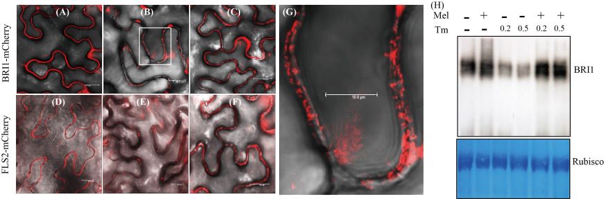 Figure 5-5.jpg