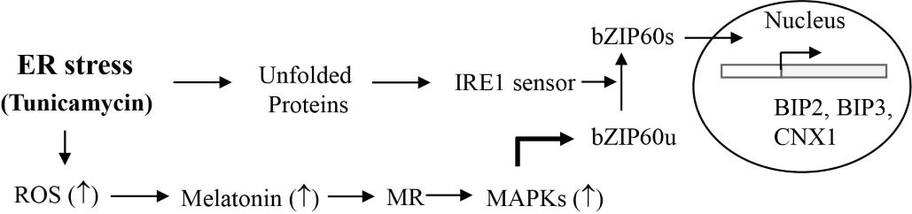 Figure 10-10.jpg