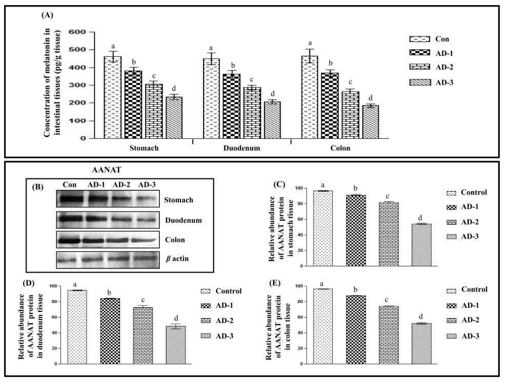 Figure 1.jpg