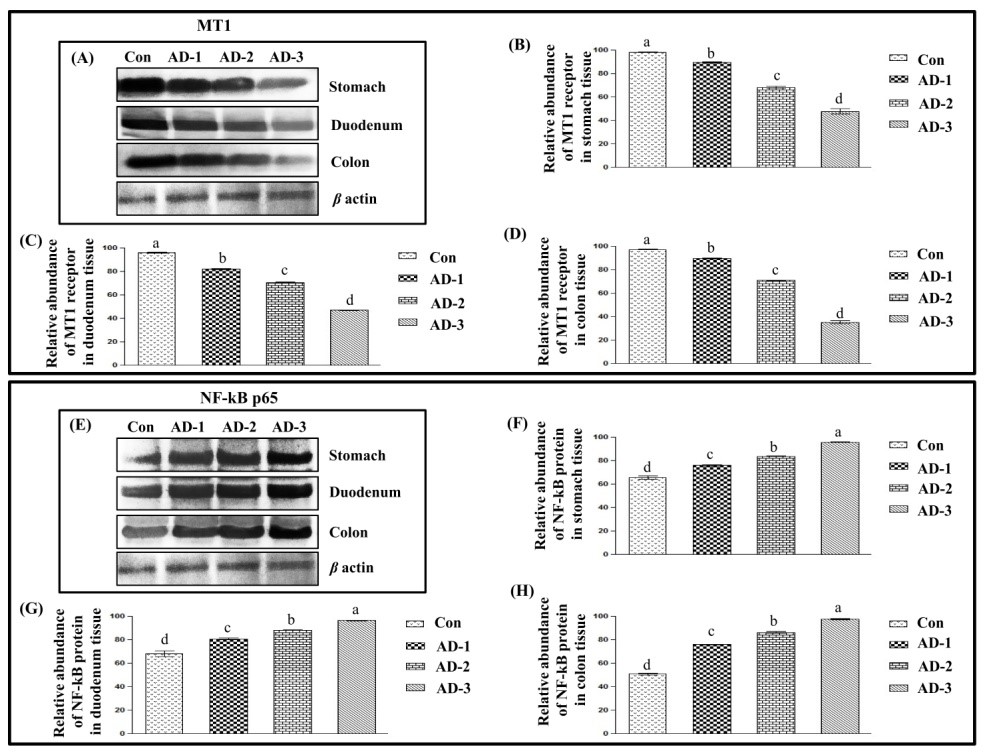 Figure 2.jpg