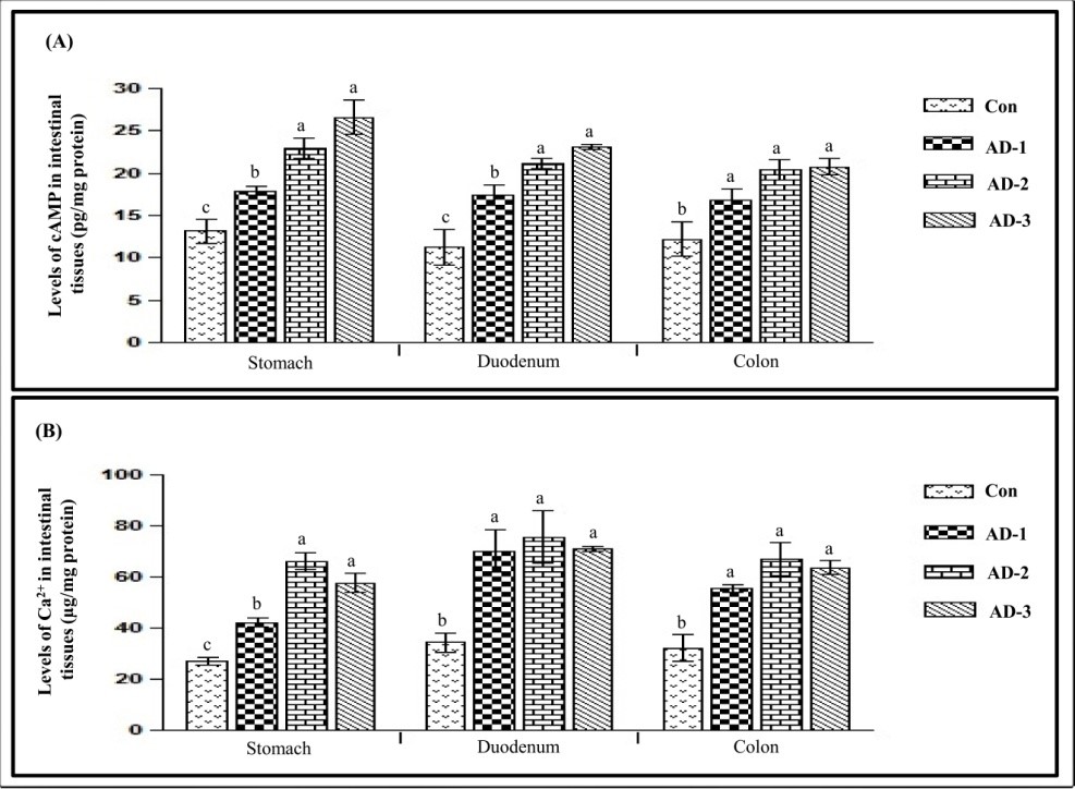 Figure 3.jpg