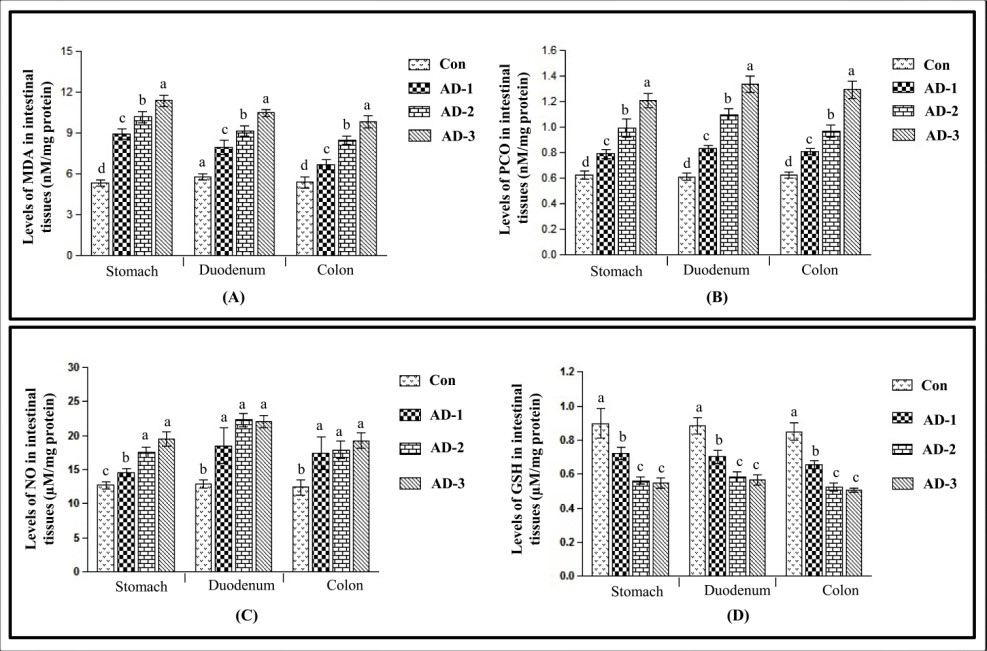 Figure 4.jpg