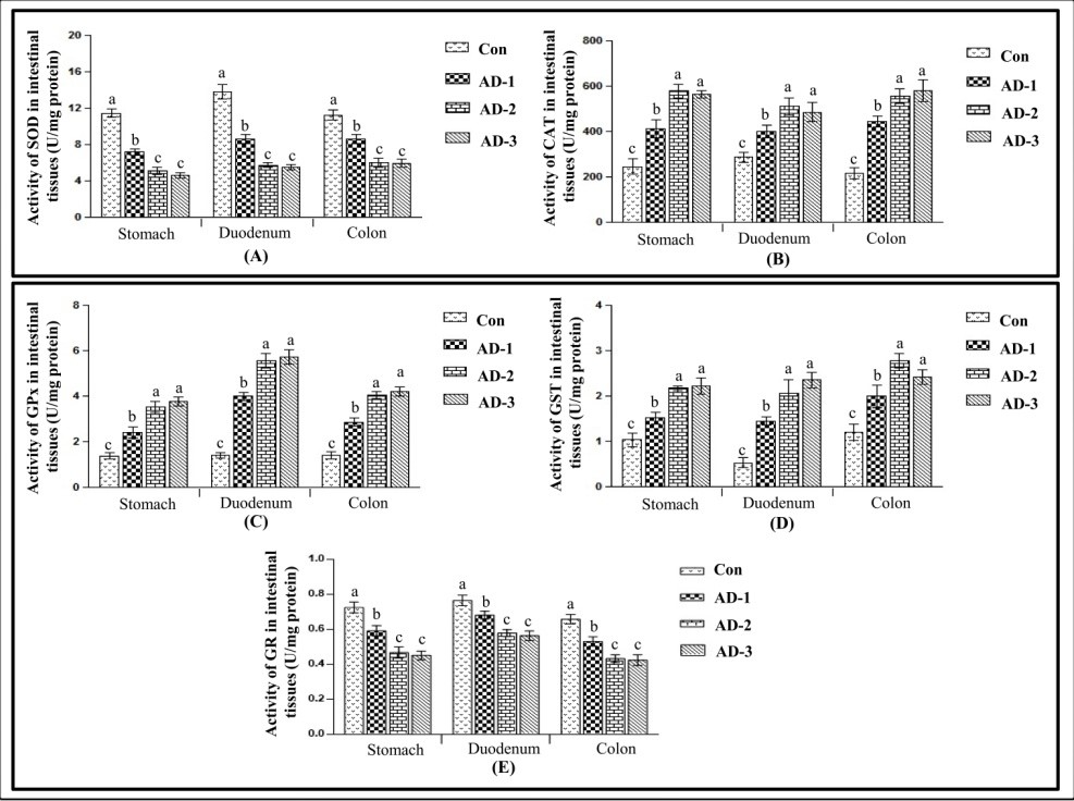 Figure 6.jpg