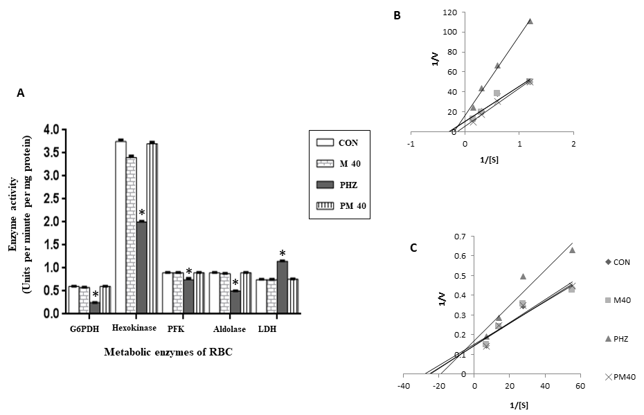 Figure 5.png