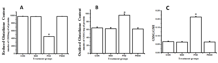 Figure 2.png