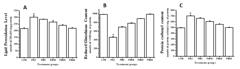 Figure 1-1.jpg