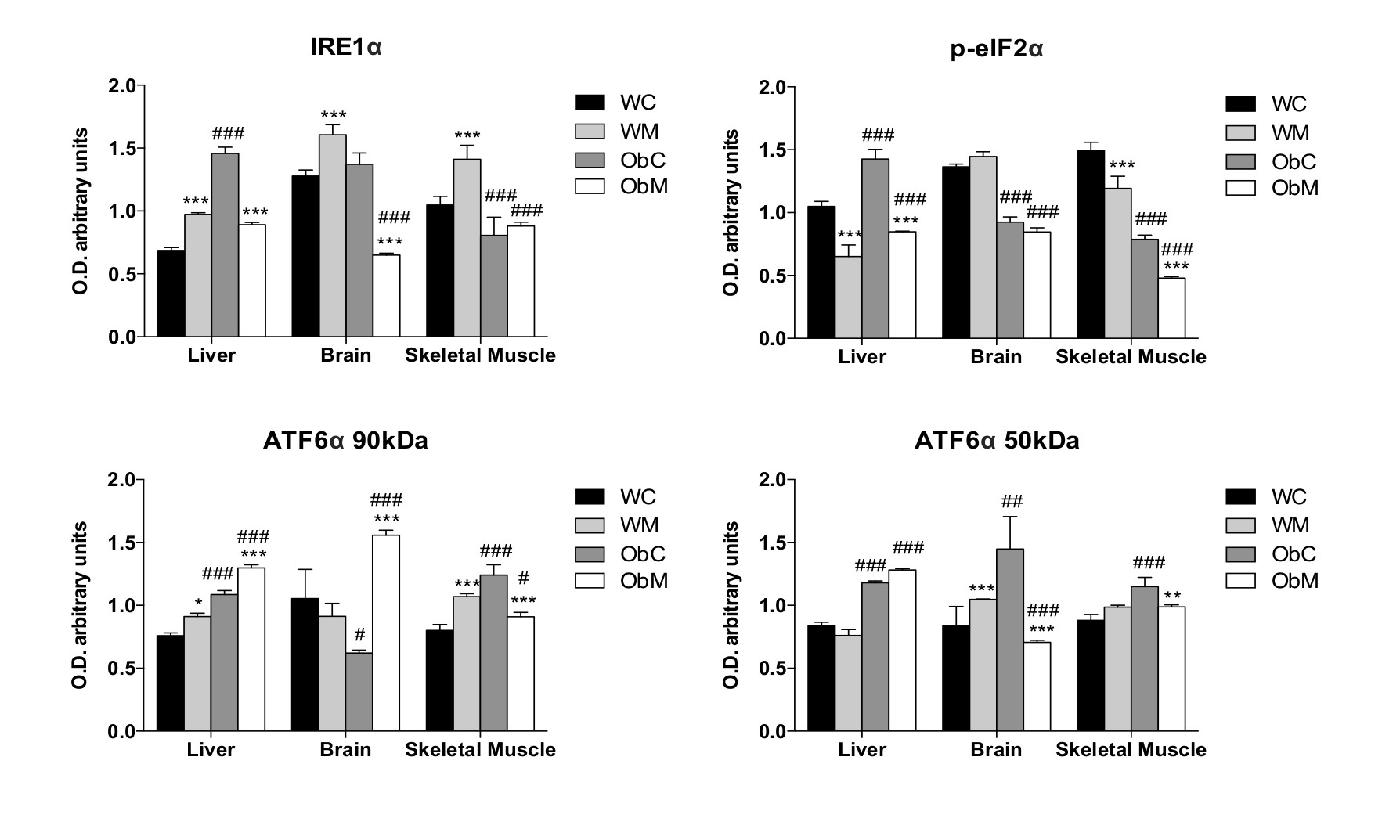 Figure 1.jpg