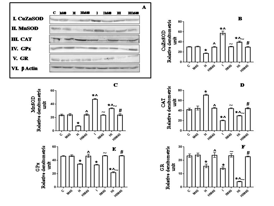 Figure 4.jpg