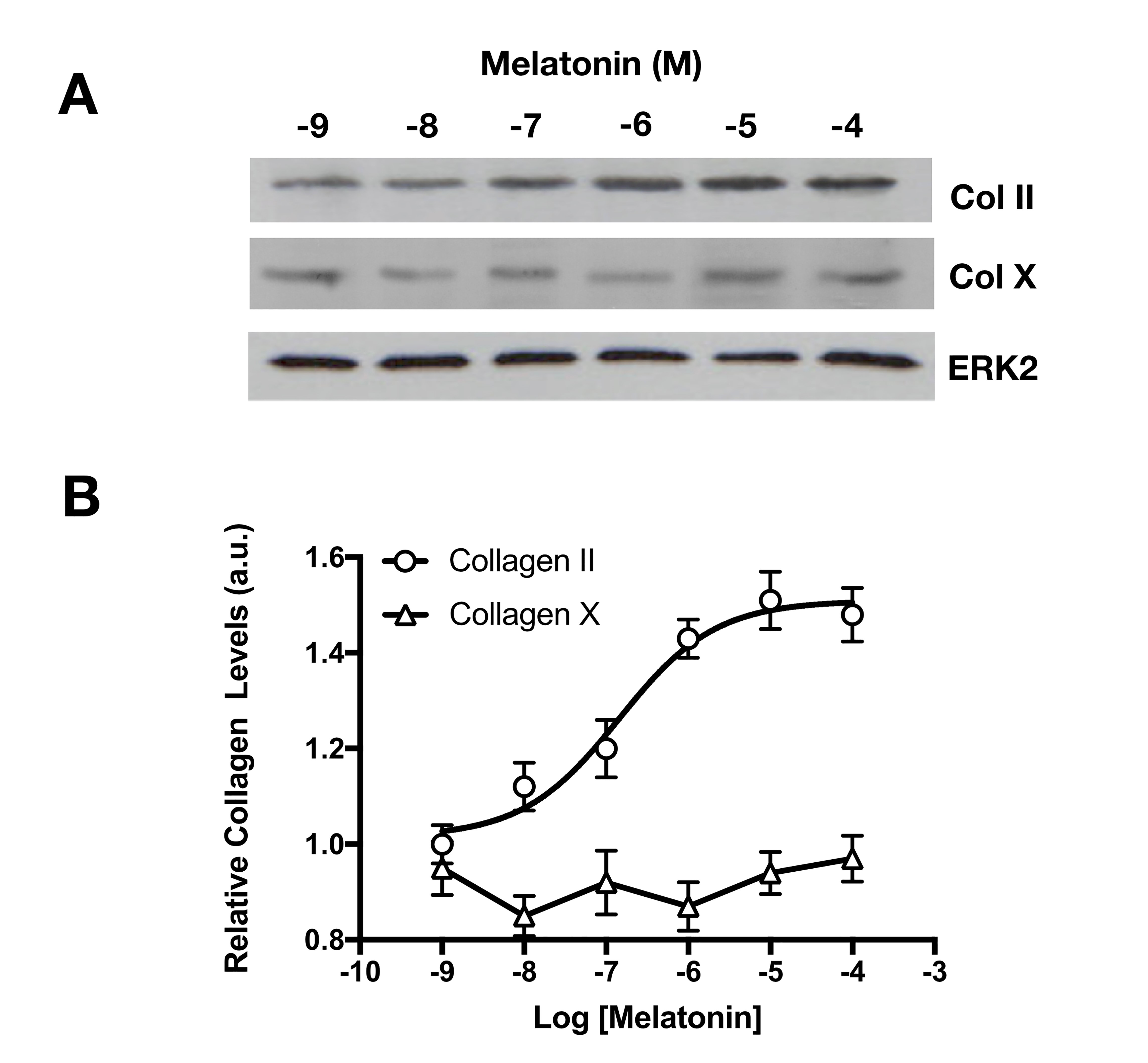 Fig. 2-2.jpg