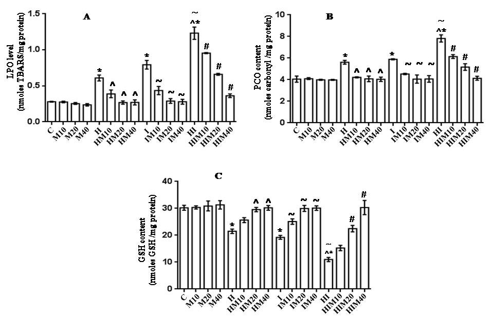 Figure 2.jpg