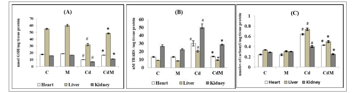 FIG 2 R2.jpg