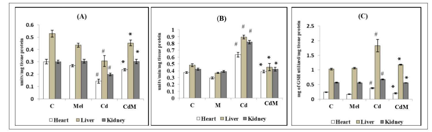 FIG 4 R2.jpg