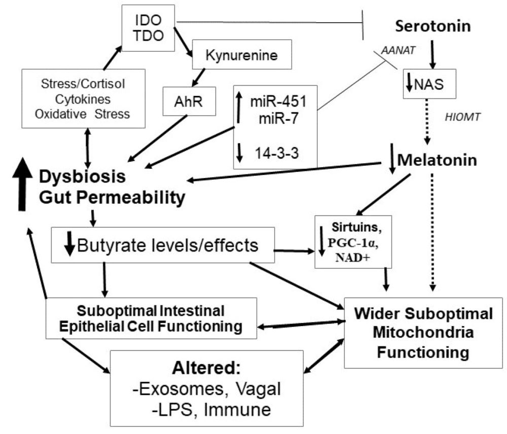 Amendments to Fig 1-2.jpg