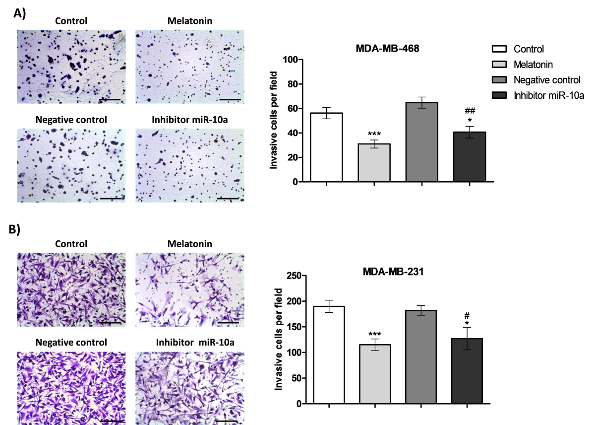 Fig. 3-3..png