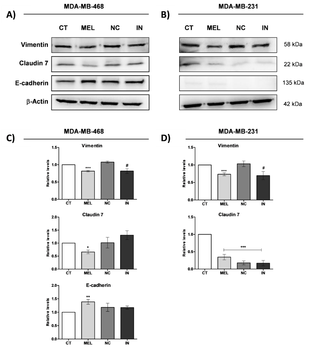 Fig. 4-4.png