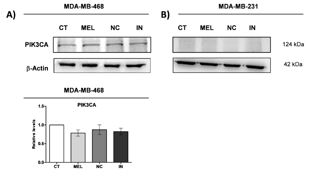 Fig. 5-5..png