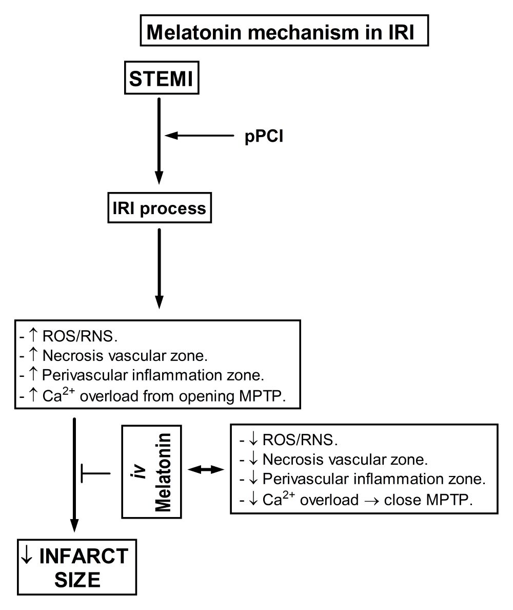 Figure 1-1.jpg