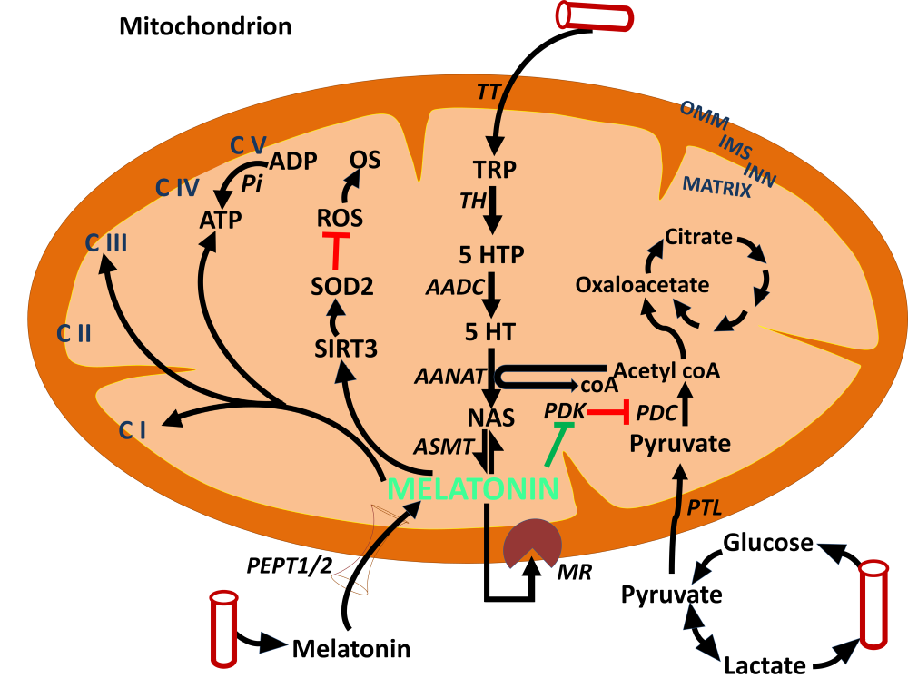 figure 3-3.png