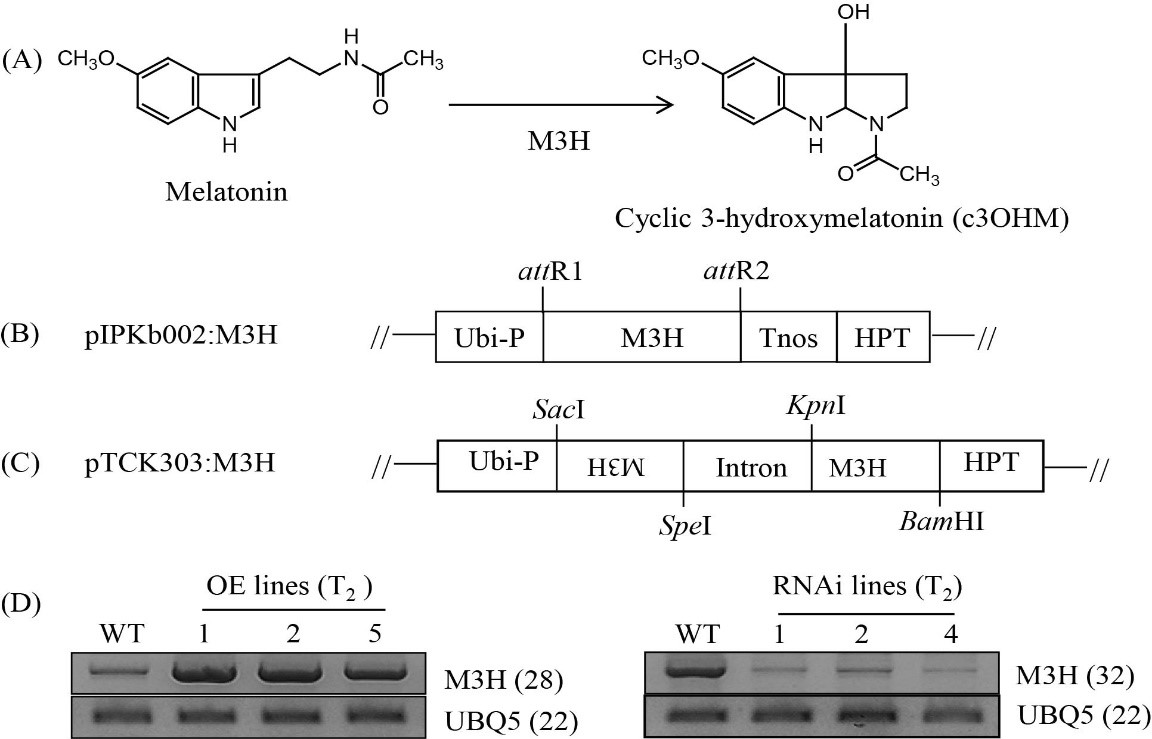 Fig. 1.jpg