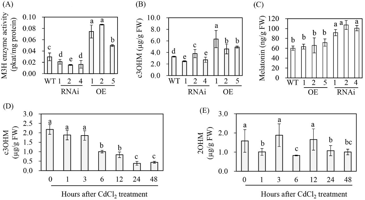 Fig. 2.jpg