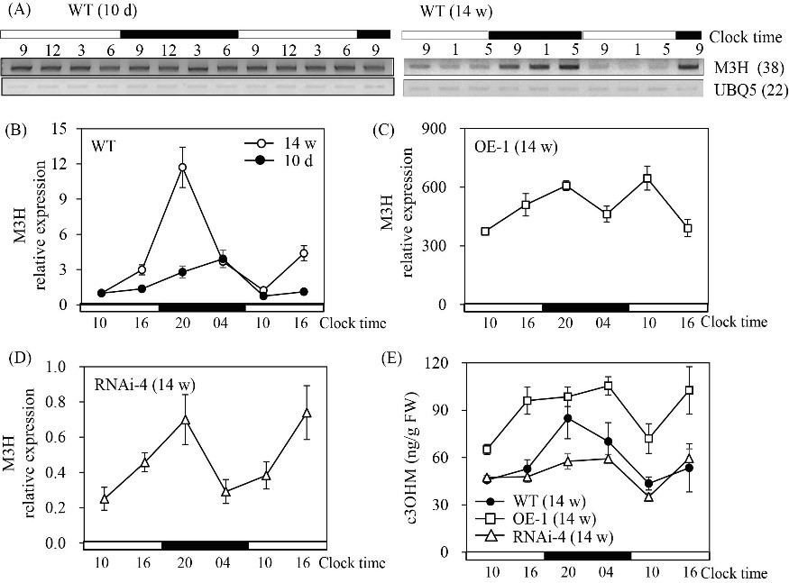 Fig. 3.jpg