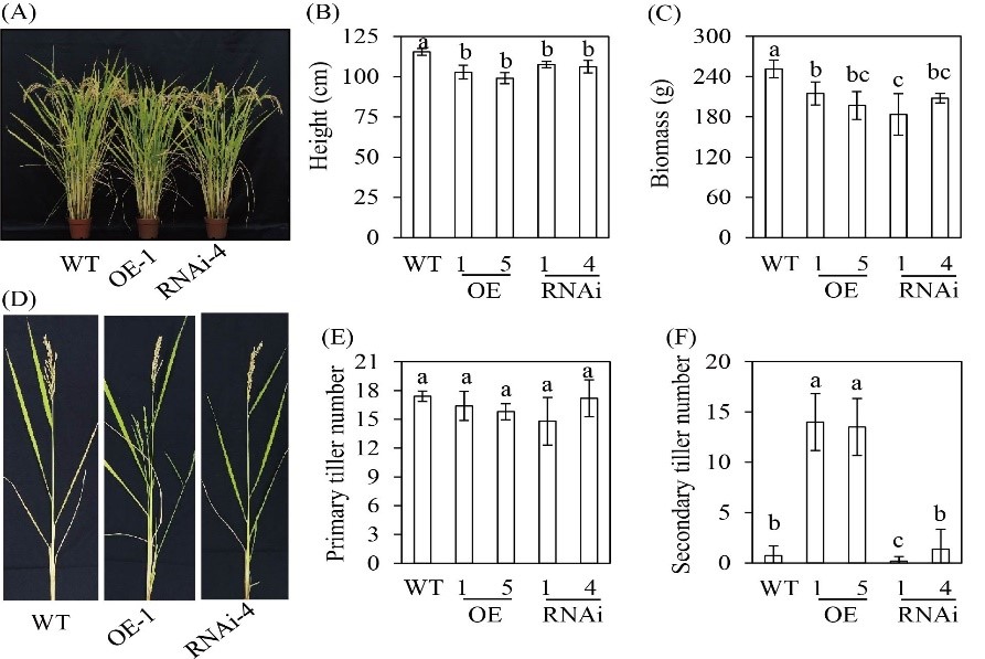 Fig. 8.jpg