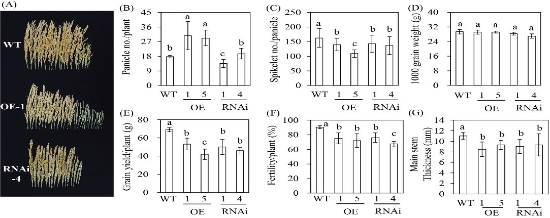 Fig. 9.jpg