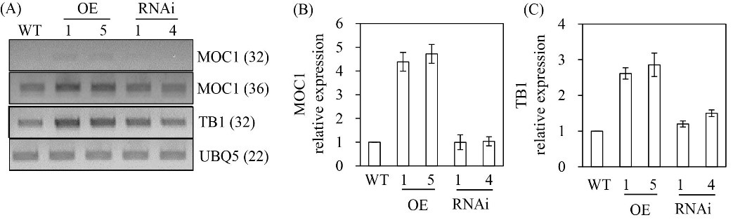 Fig. 10.jpg