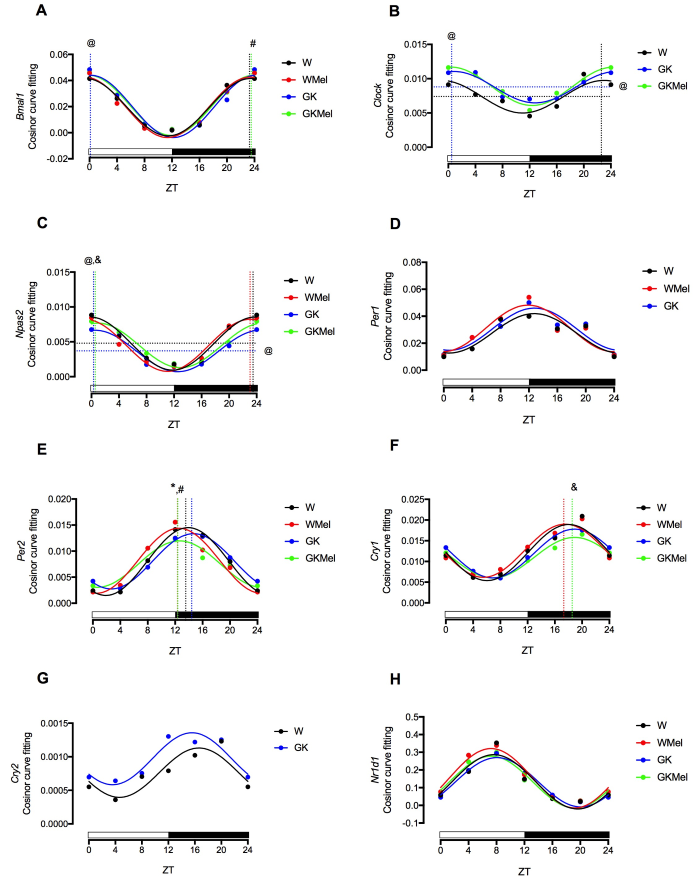 Fig. 2-2.png