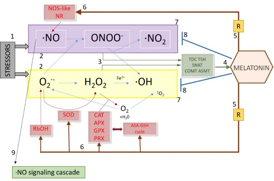 Fig. 2.jpg