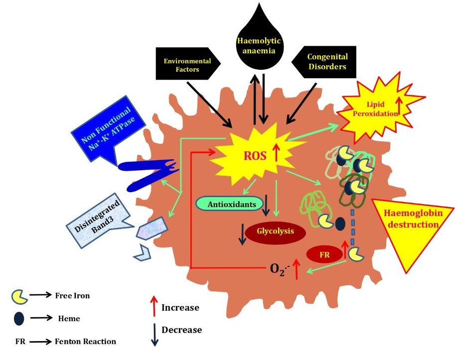 Figure 1-1.jpg