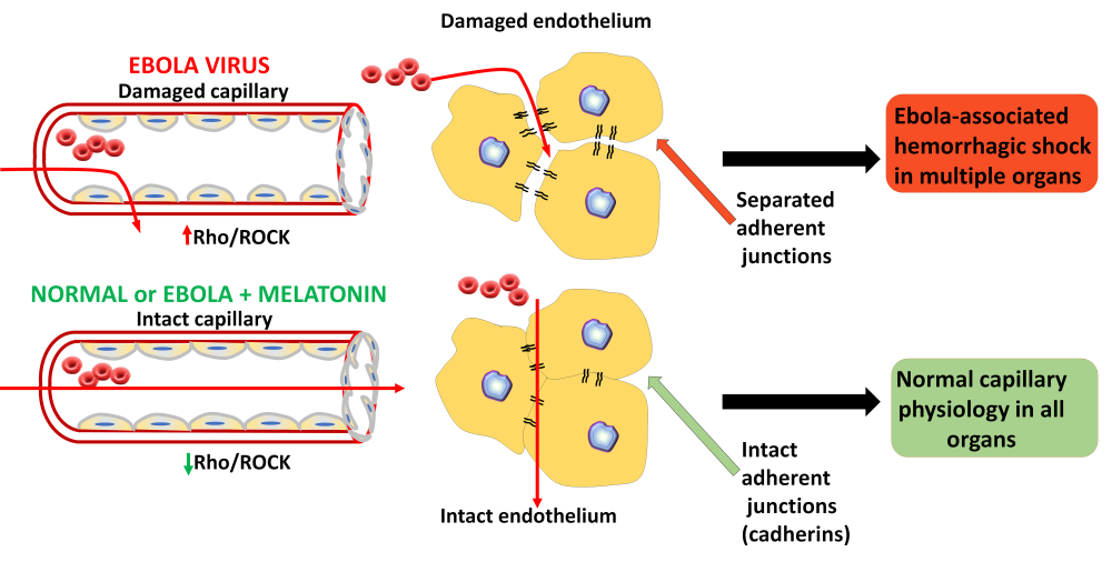 Figure 3-3.png