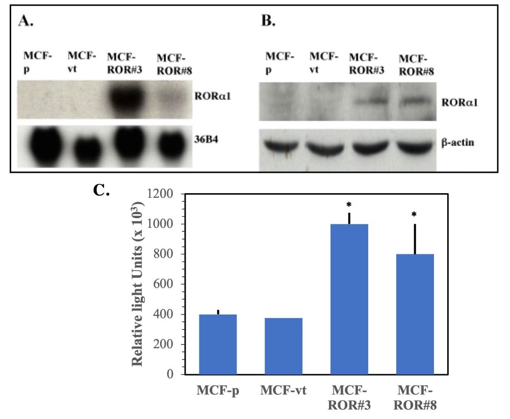 Figure 1-1.jpg