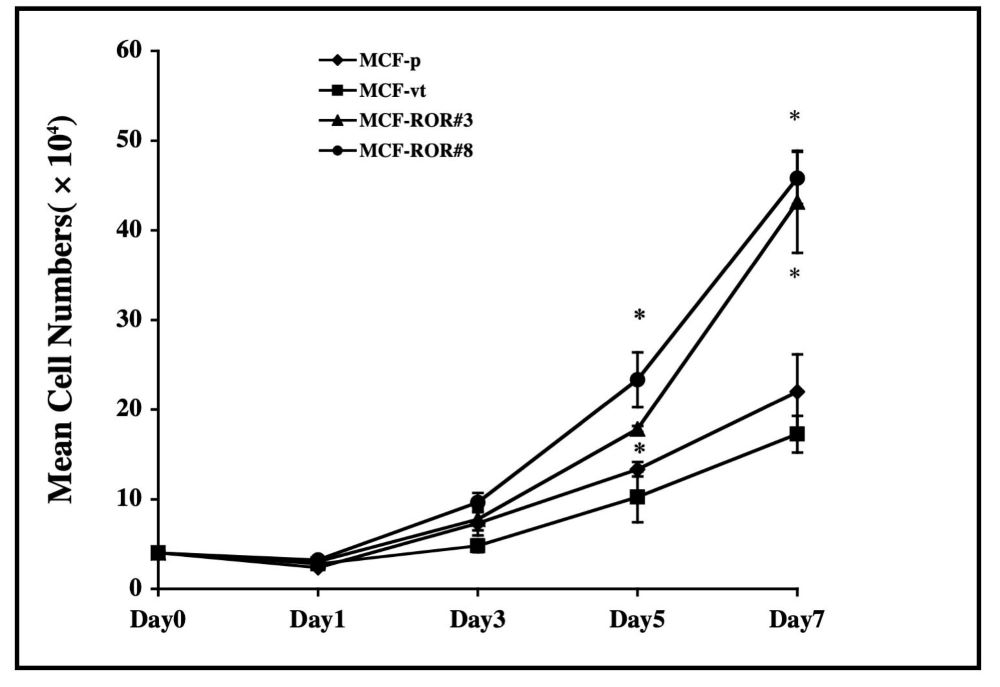 Figure 2-2.jpg