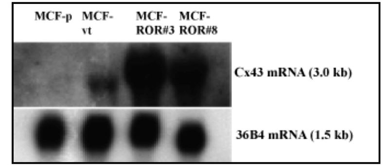 Figure 3-3.jpg