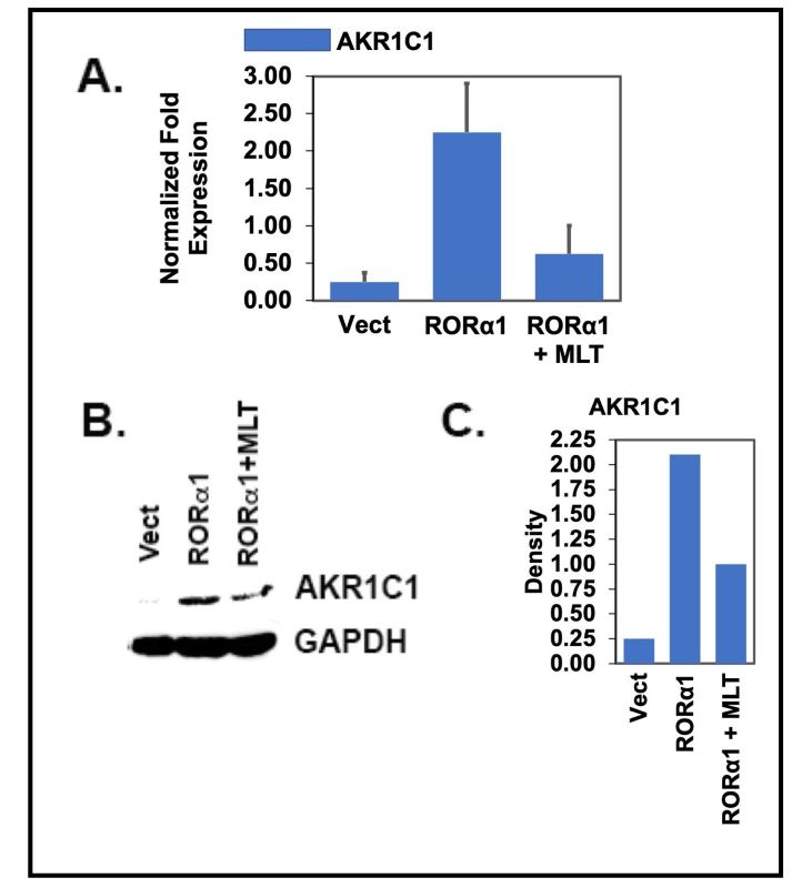 Figure 4-4.jpg