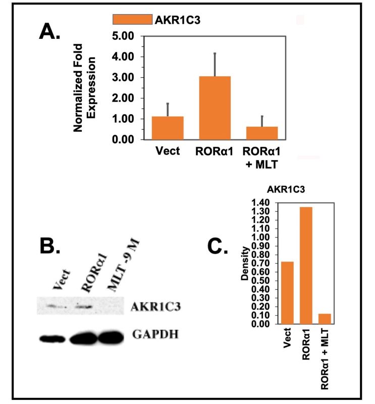 Figure 5-5.jpg