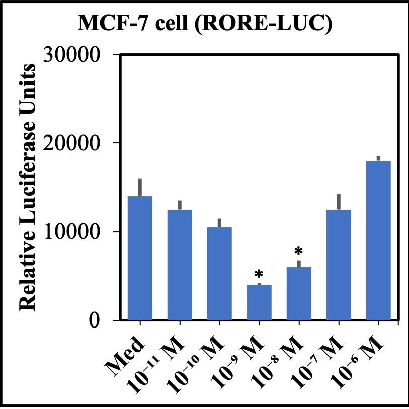 Figure 6-6.jpg