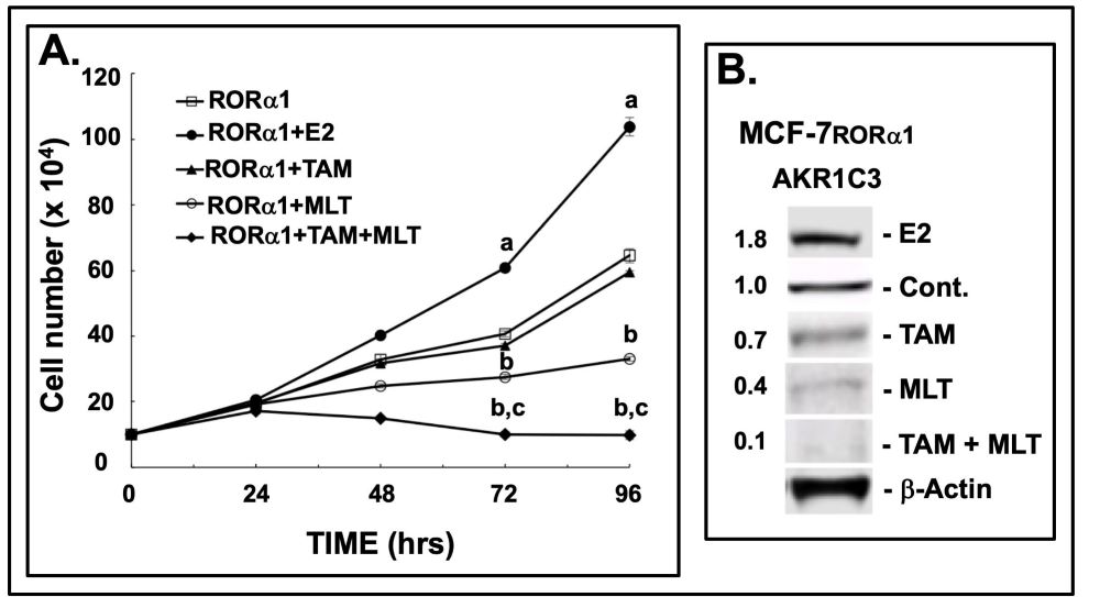 Figure 7-7.jpg