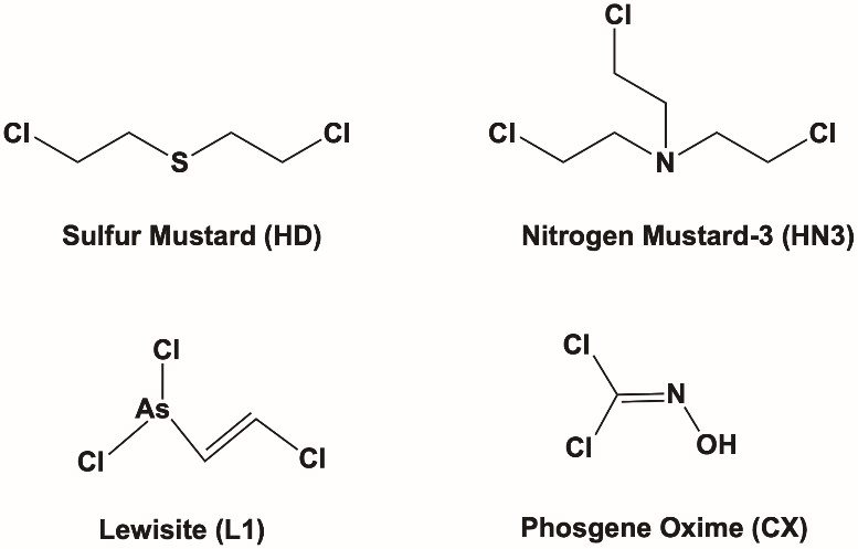 Figure 1.jpg