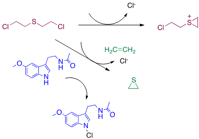 Scheme 2.png