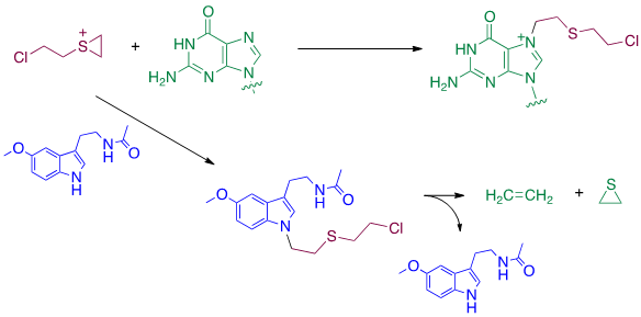 Scheme 3.png