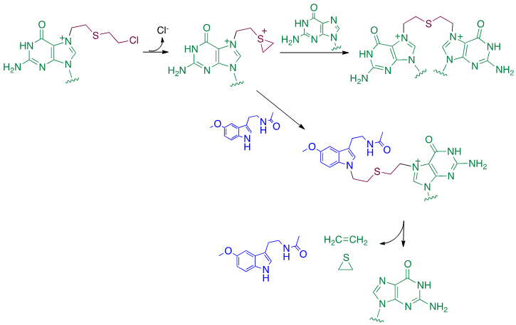 Scheme 4.png