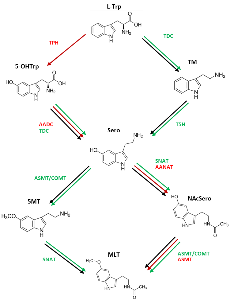 Figure 2.png