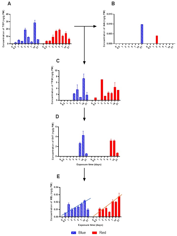 Figure 3.jpg