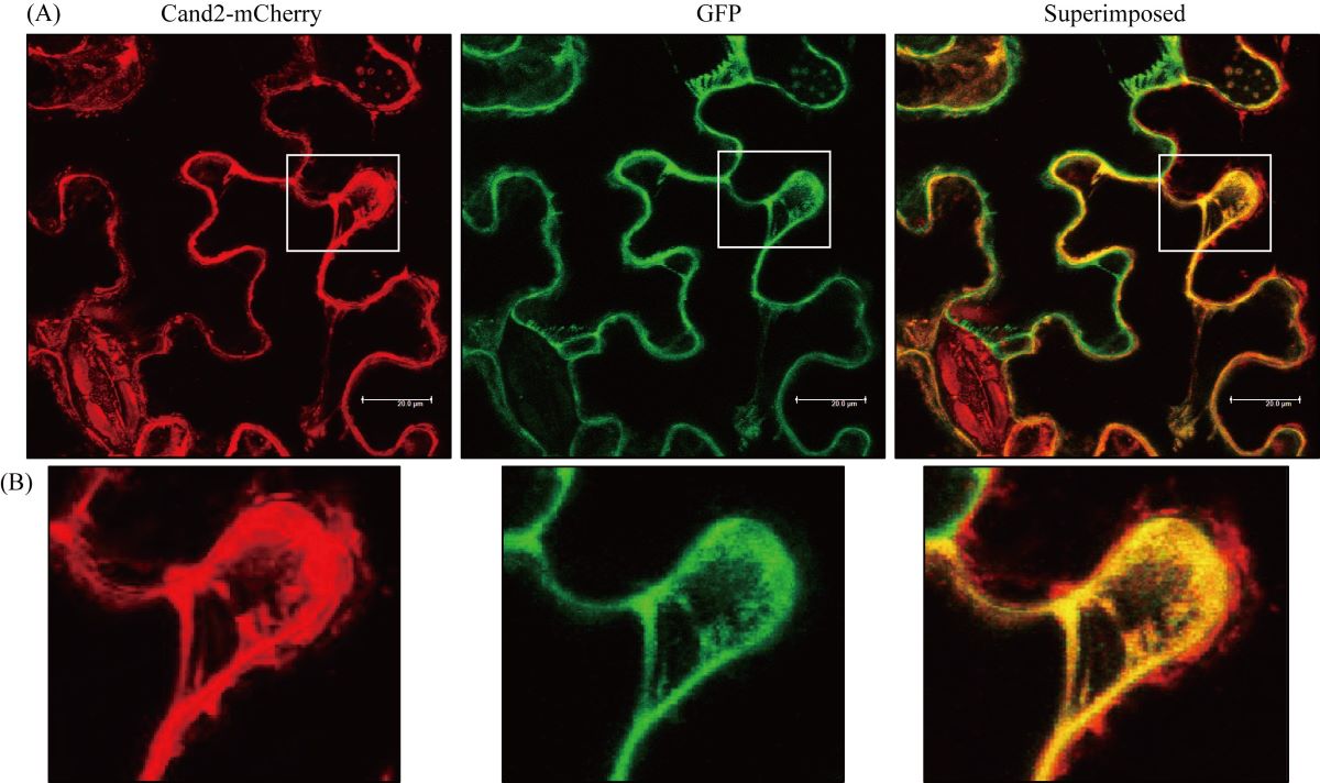 Figure 3-3.jpg