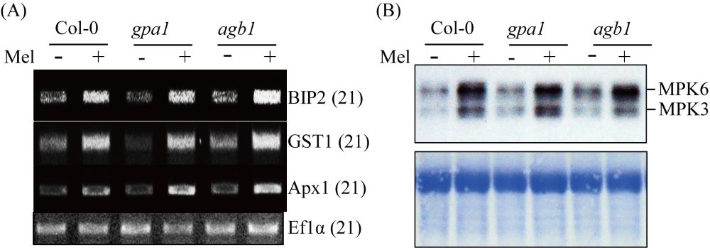 Figure 6-6.jpg