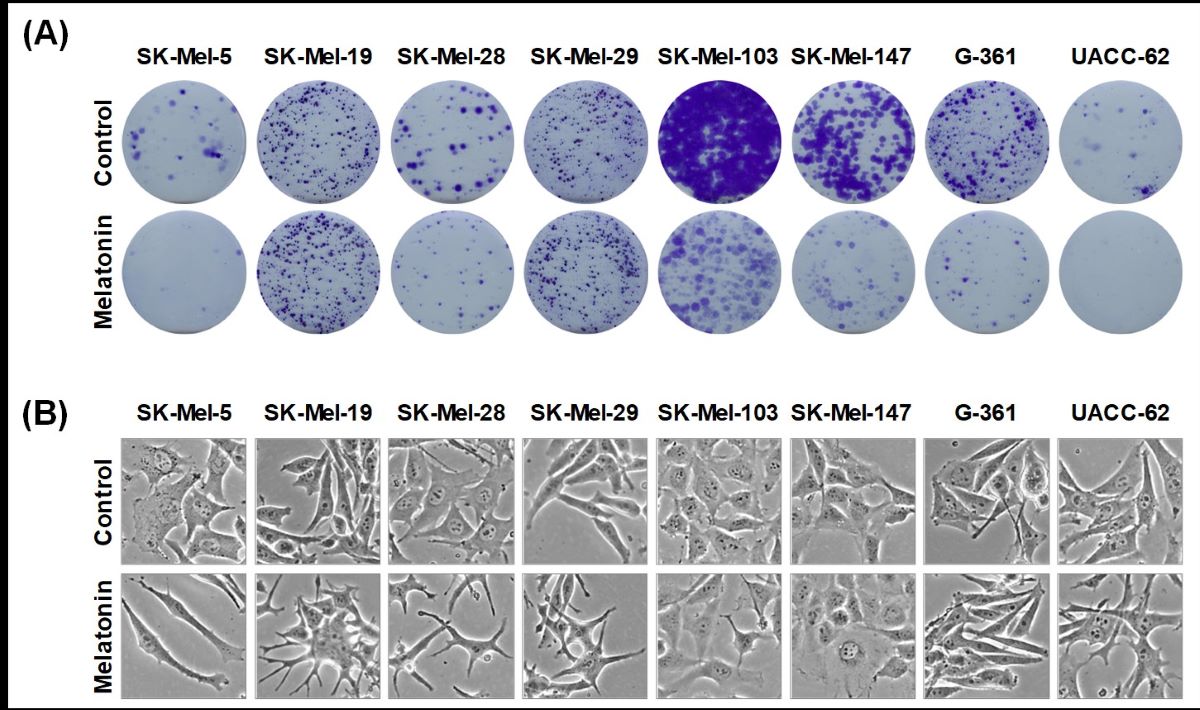 Figure 2-2.jpg