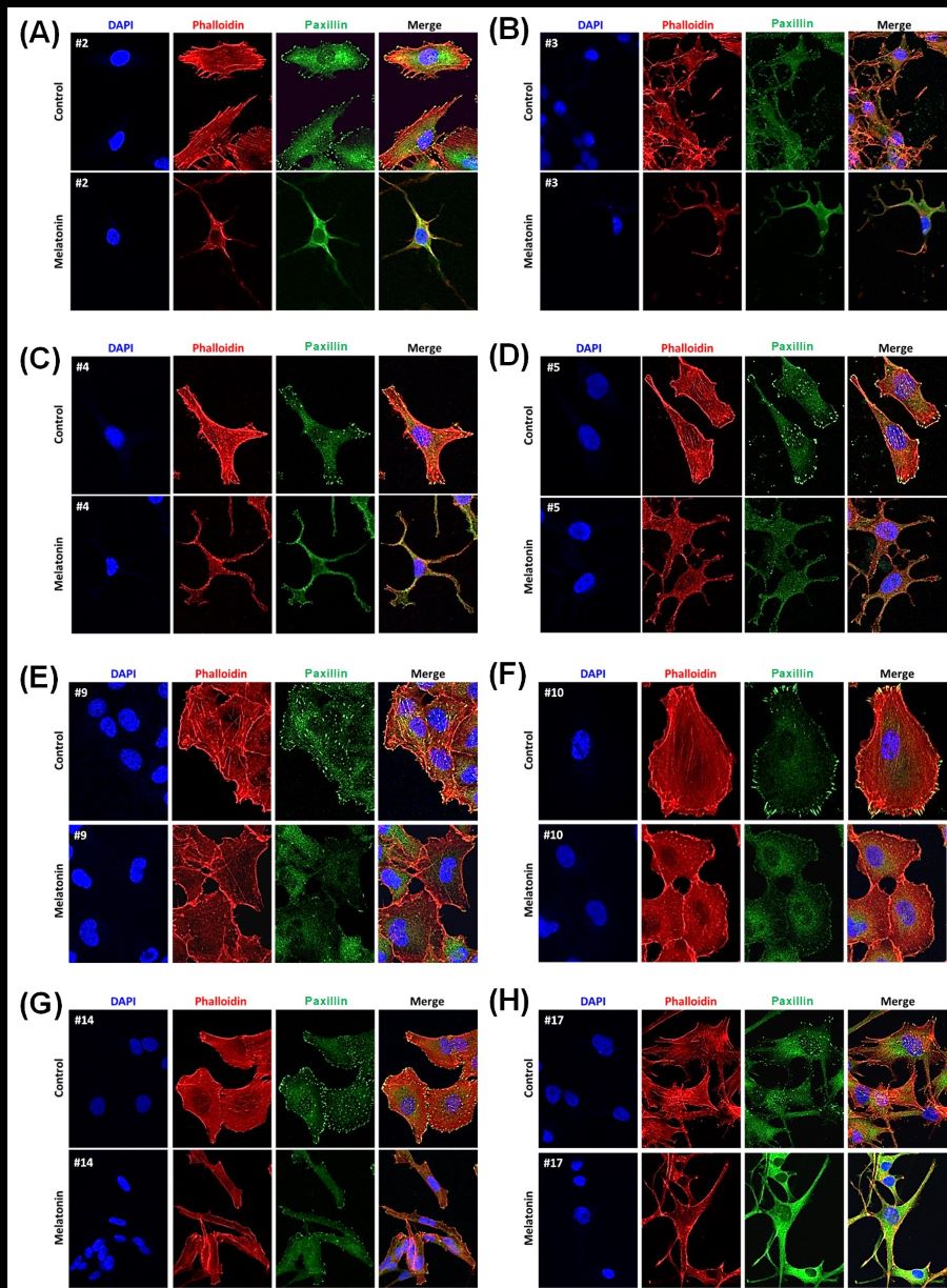 Figure 3-3.jpg