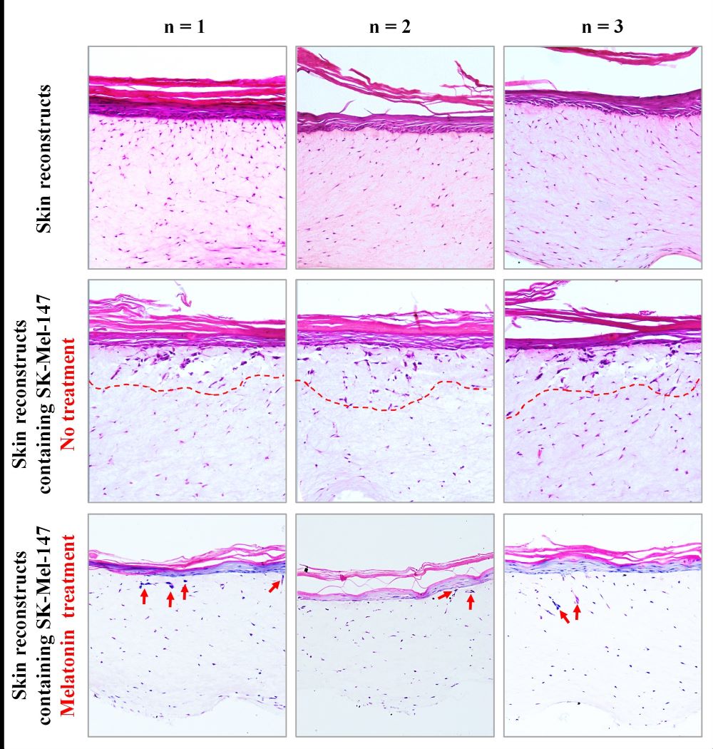 Figure4-4.jpg